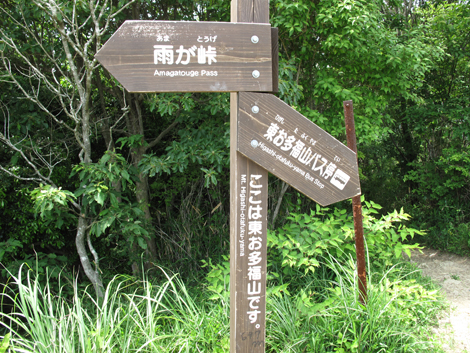 20140602hike (319)